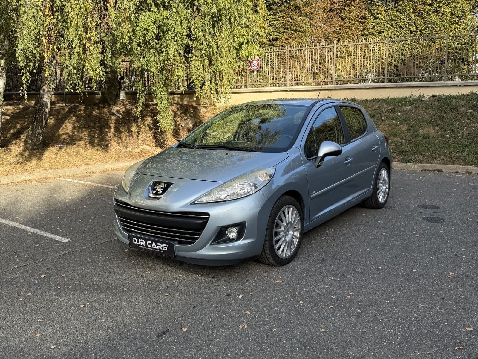 Peugeot 207 1.6 HDi 90 ch Premium Gris