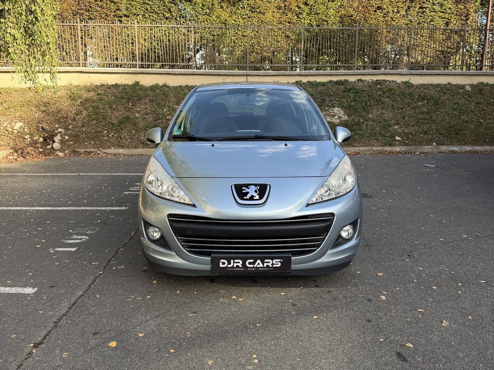 Peugeot 207 1.6 HDi 90 ch Premium Gris