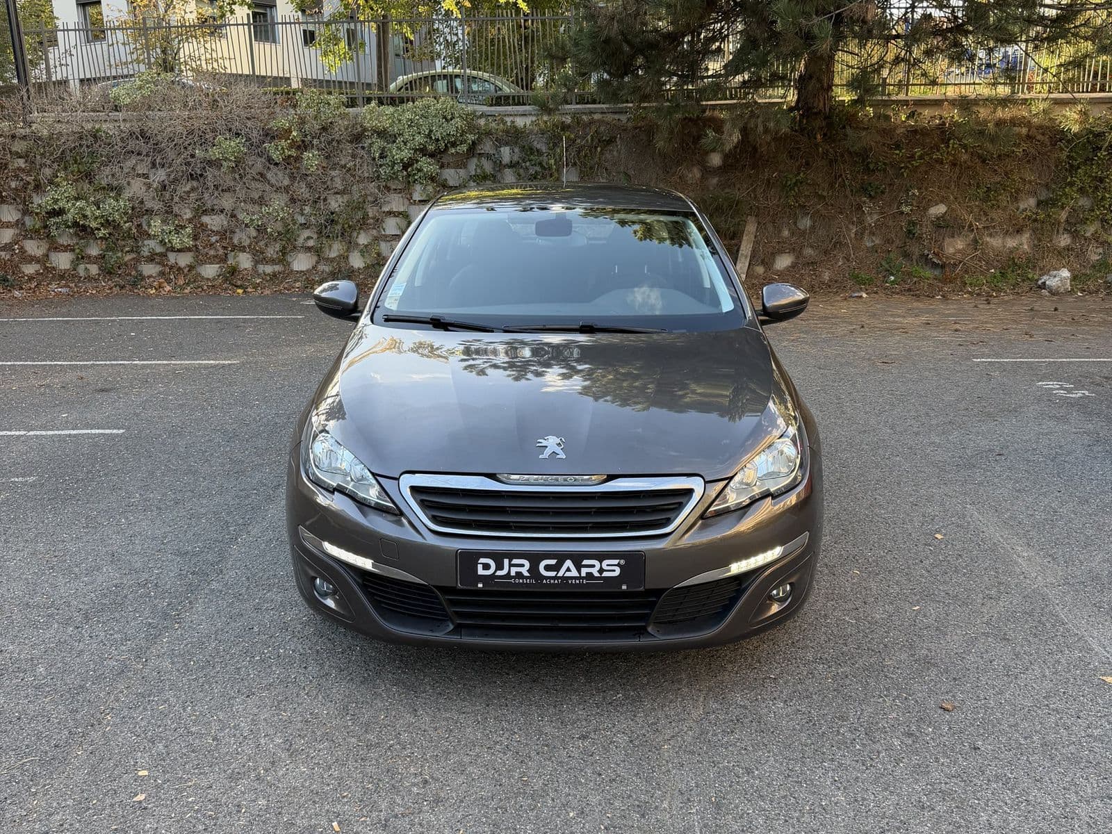 Peugeot 308 SW 1.6 BlueHDi 120 ch BVM6 Active Business Marron