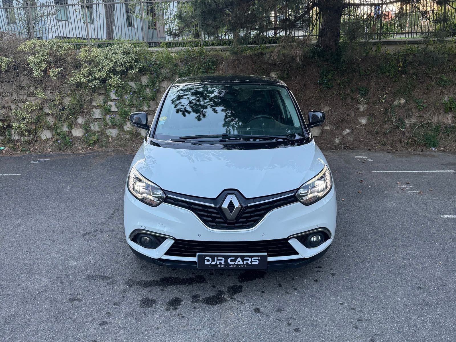 Renault Scenic Blanc