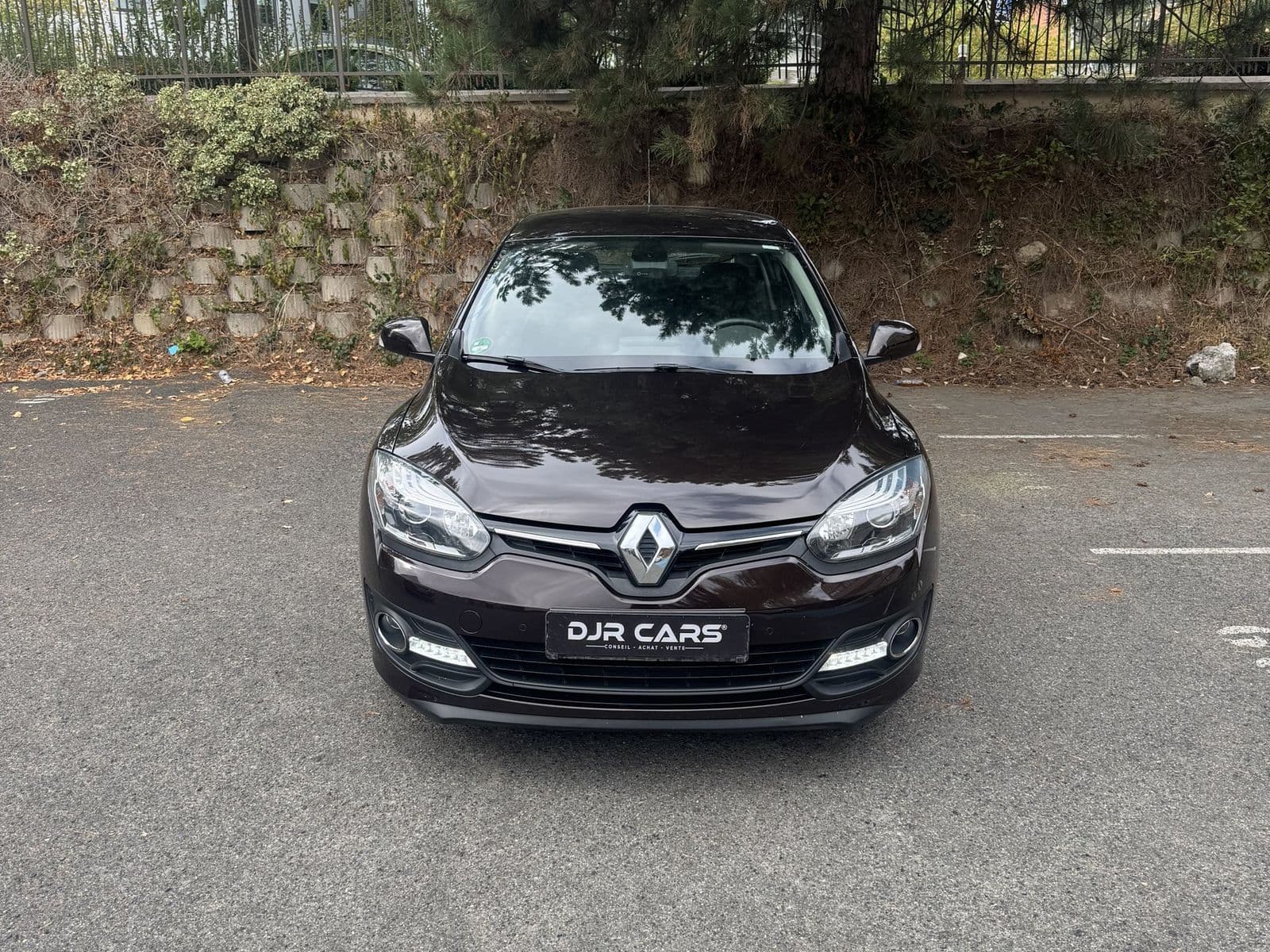 Renault Mégane III 1.5 dCi 110 ch Limited Marron