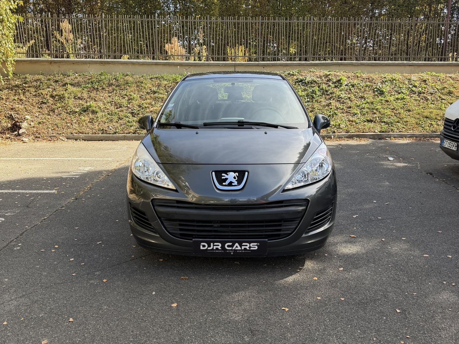 Peugeot 207 1.4 75 ch Active Gris