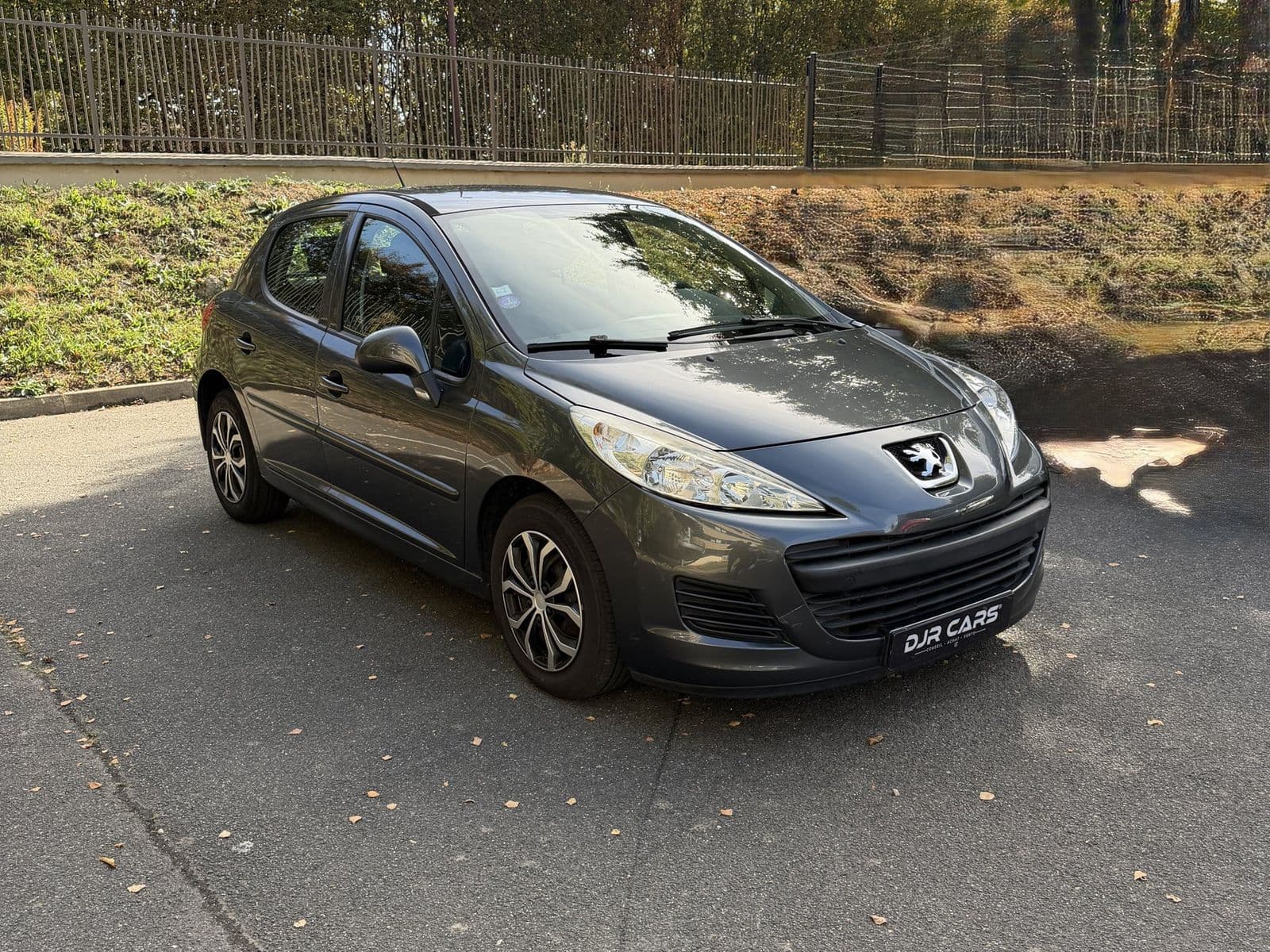 Peugeot 207 1.4 75 ch Active Gris